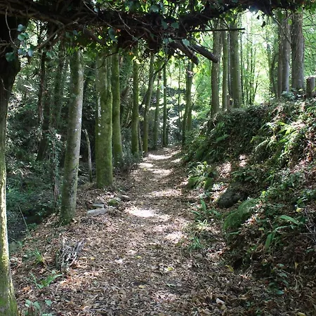 Vakantiehuis Casavacanze Ex Muli Castelnuovo Magra